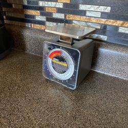 Pelouze K5model Adjustable Scale