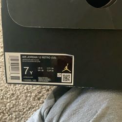 Air Jordan 12 Retro 