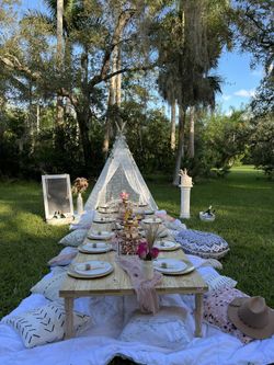 We Can Set Up Picnic For Family , Friends Or Couples Please Reserve