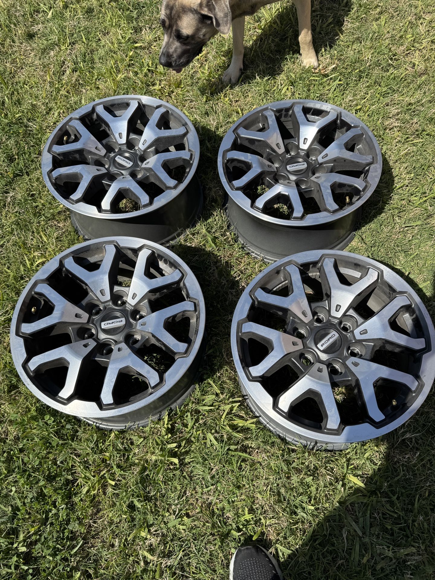 Four Raptor Oem Rims Ford Raptor Rims for Sale in San Juan, TX - OfferUp
