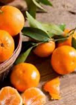 Tangerine Trees /arboles de Mandarina