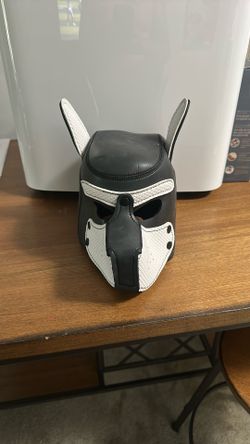 Dog Mask