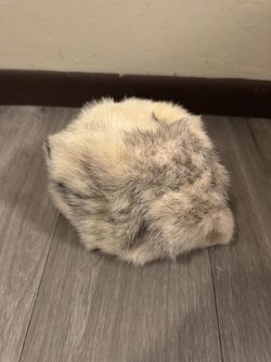 Mr. Marc New York Fur Hat