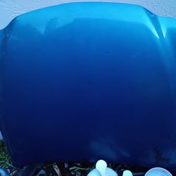 Trans Am Hood Poniac