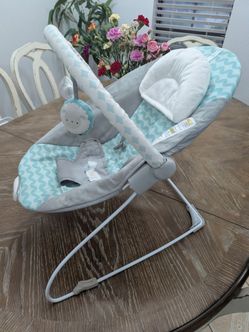 Baby Bouncer