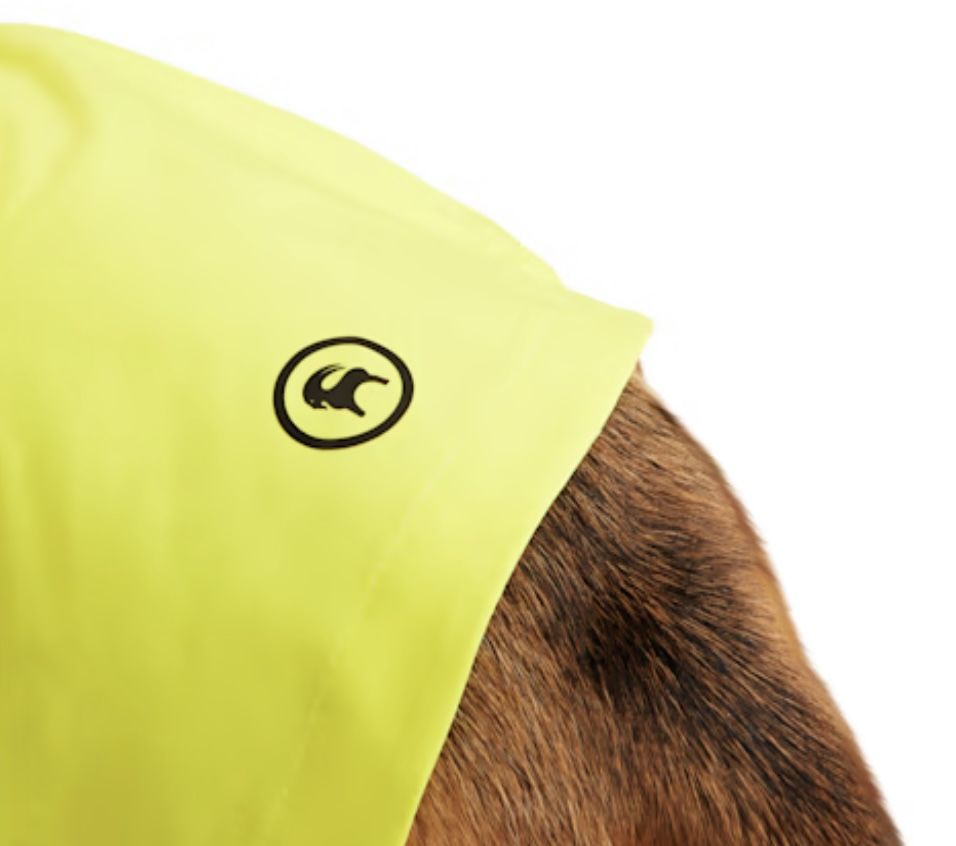 NWT Backcountry x Petco Collab Raincoat