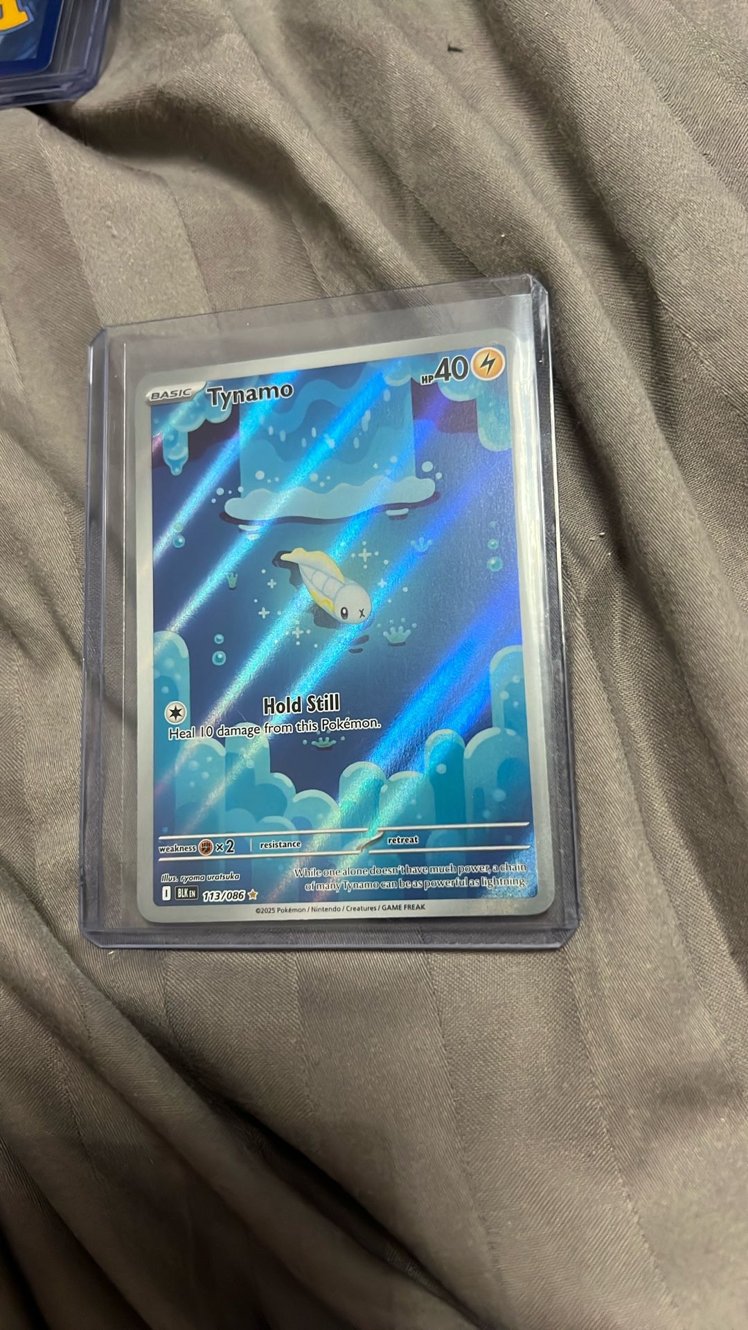 Tynamo #113 Pokemon Black Bolt