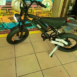 Electric Bicycle 30mph 1000w motor