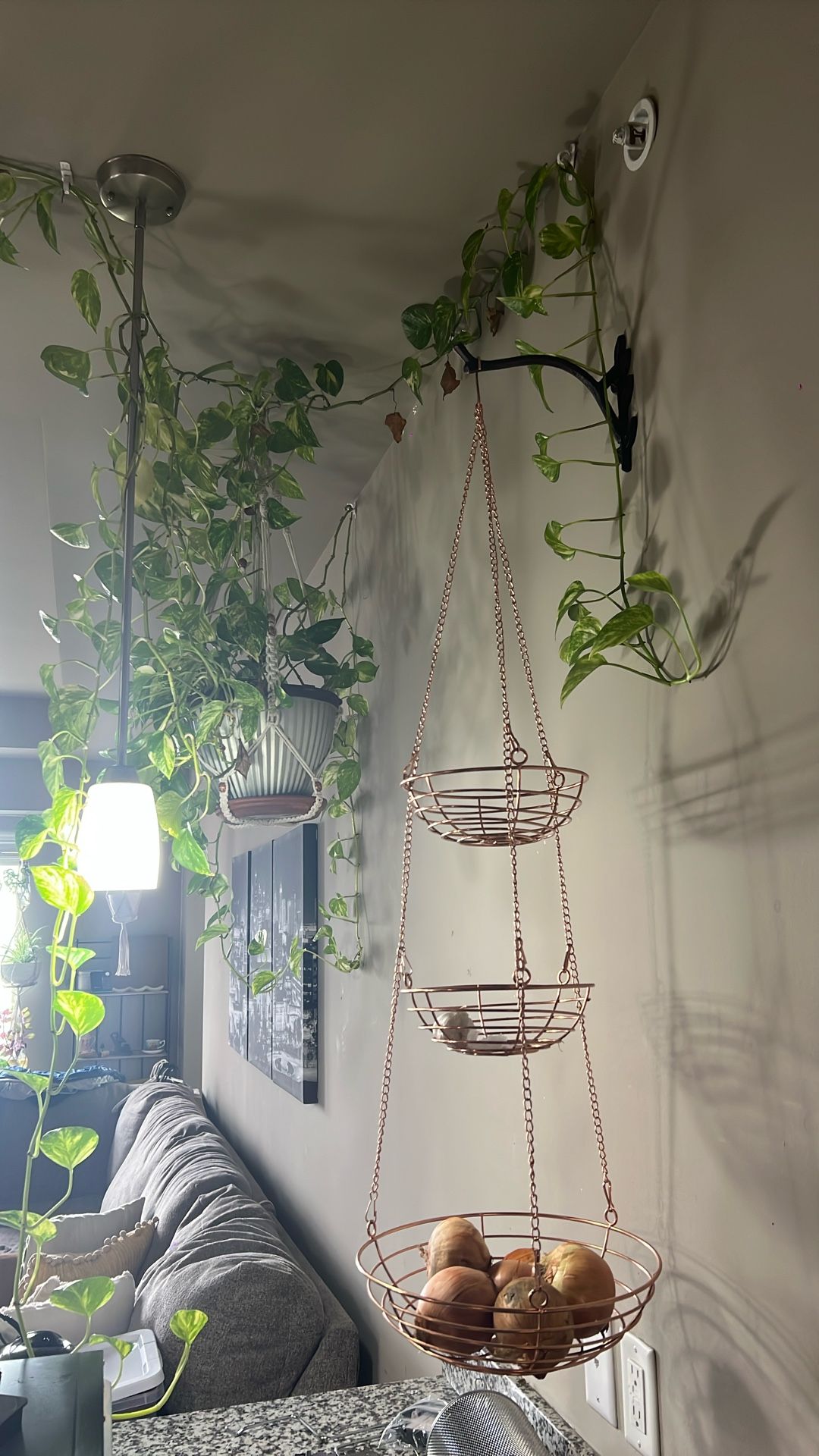 Rose Gold Hanging Fruit Basket 