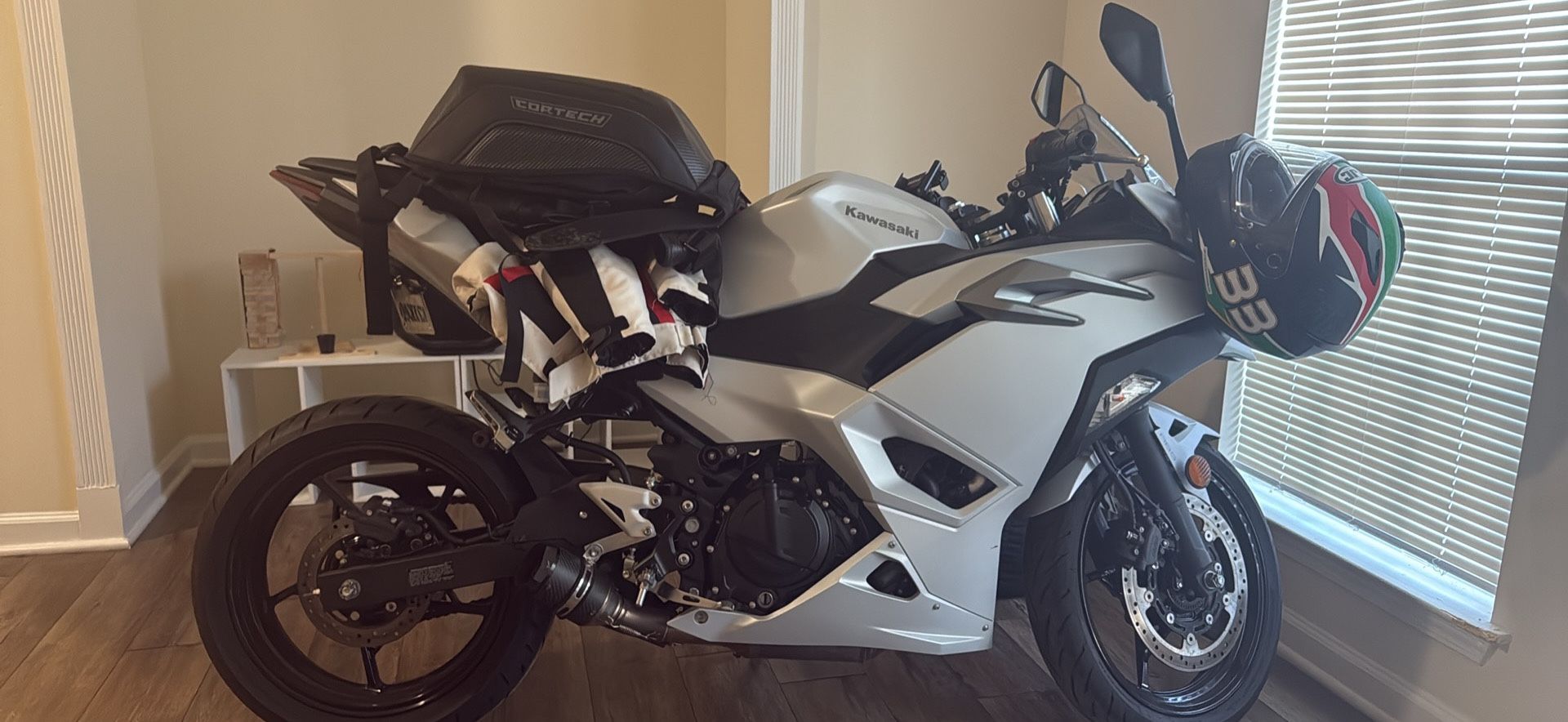2024 Kawasaki Ninja 500