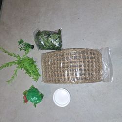 Lizard Hammock, Drinking Bowl, And Accessories 