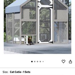 Cat Patio 