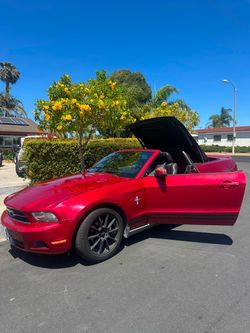 2010 Ford Mustang