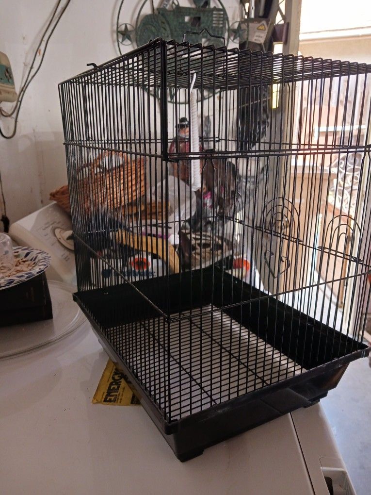 Bird Cage