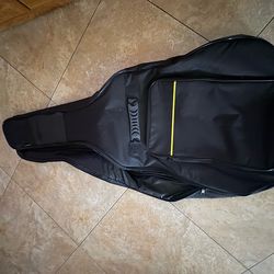 Padded guitar case