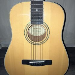 Beginners Mitchell Guitar