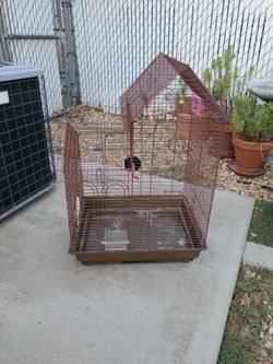 Bird Cage
