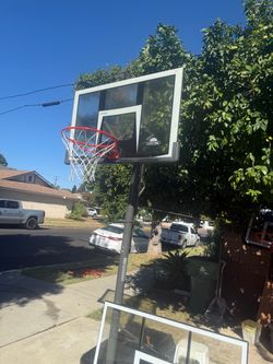Basketball hoops