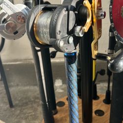 Diawa Saltist In Good Condition 