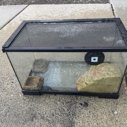 Lizard Tank 10g 