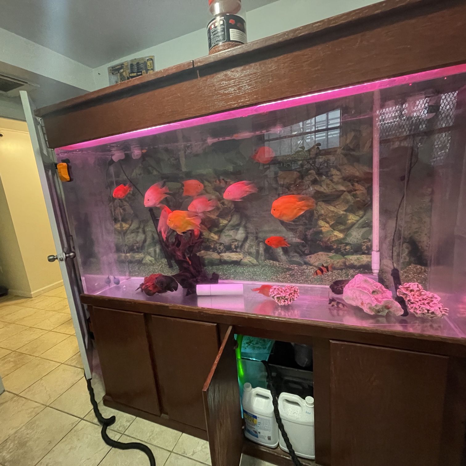 300 Gallon  Acrylic Fish Tank With Stand 