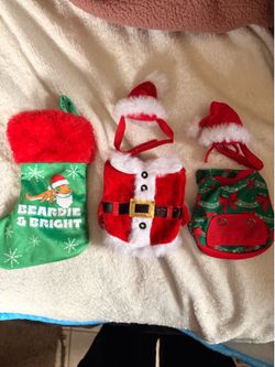Bearded Dragon Christmas Outfits And Stocking