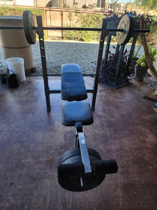 Weight Bench / Weights