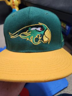 PERRICOS DE PUEBLA BASEBALL HAT