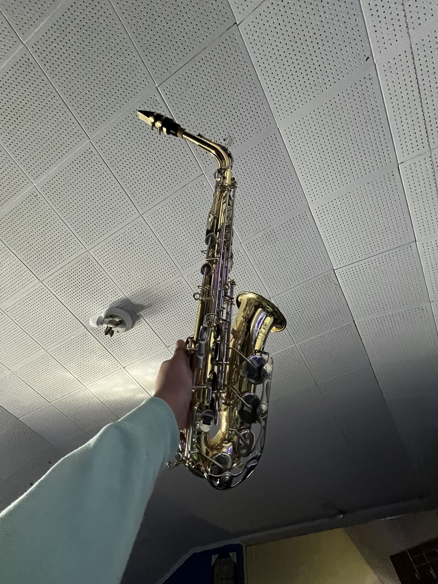 Alto Saxophone