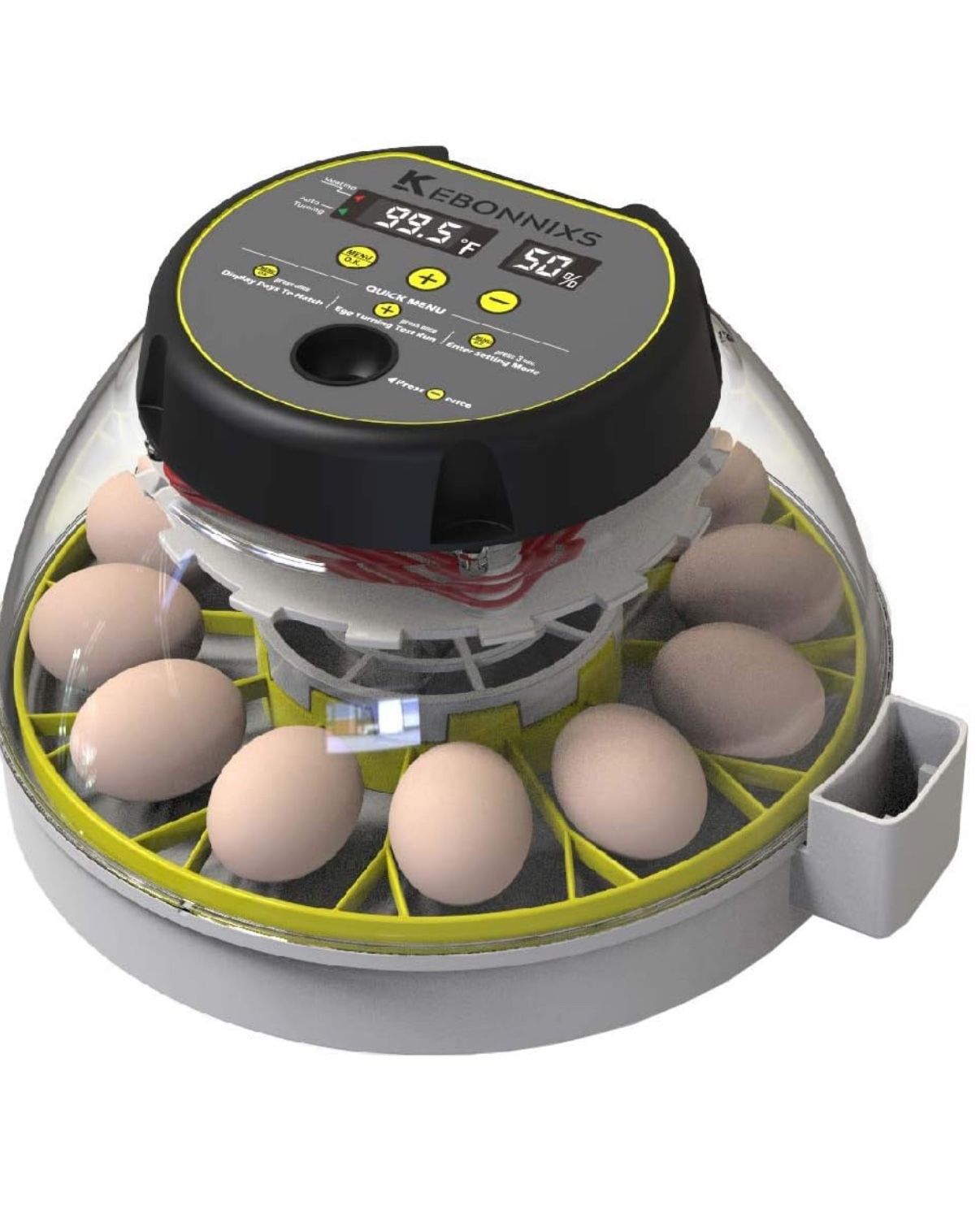 Incubator for Hatching Eggs