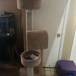 Cat Tree