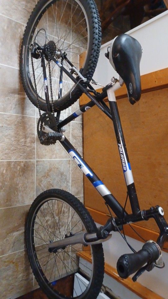 GT Mountain Bike