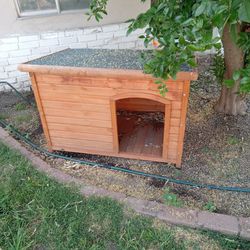 Dog House In Perfect Condition