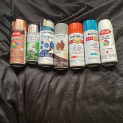 Spray Paint Krylon/Rust-Oleum Bundle