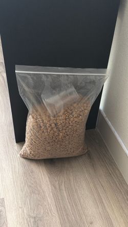 Free Dog Food