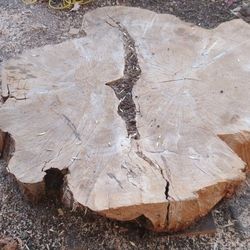 Good Wood 