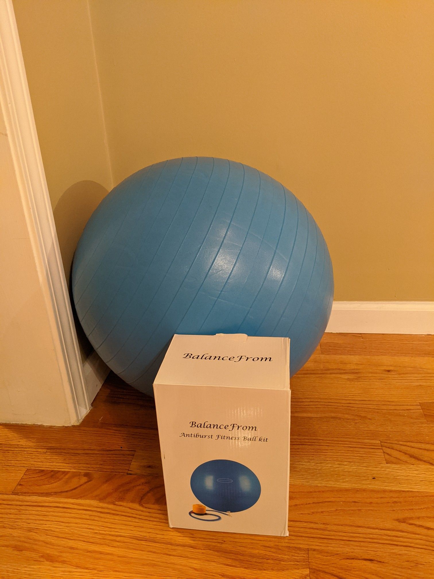 Exercise ball