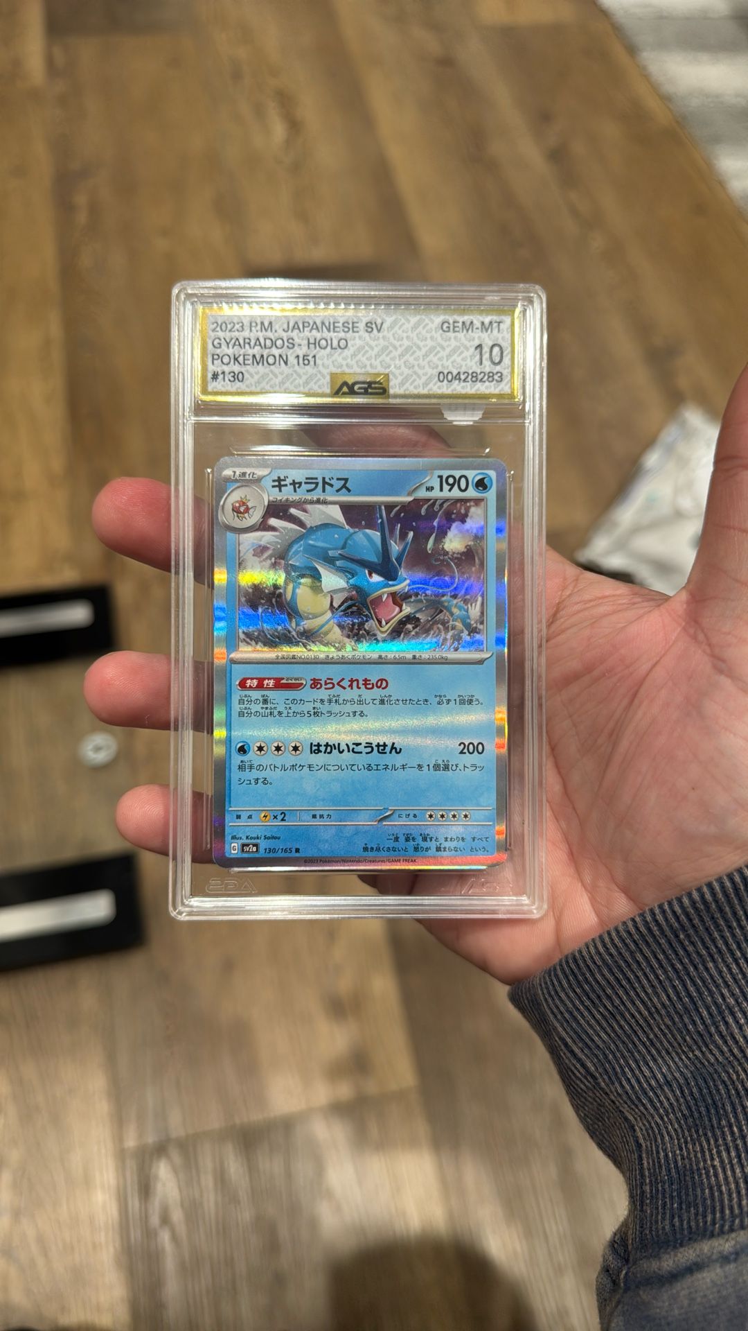 2023 Gyarados Holo Pokemon