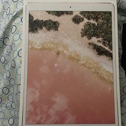iPad 10.5 Rose Gold
