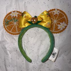 Disney ears