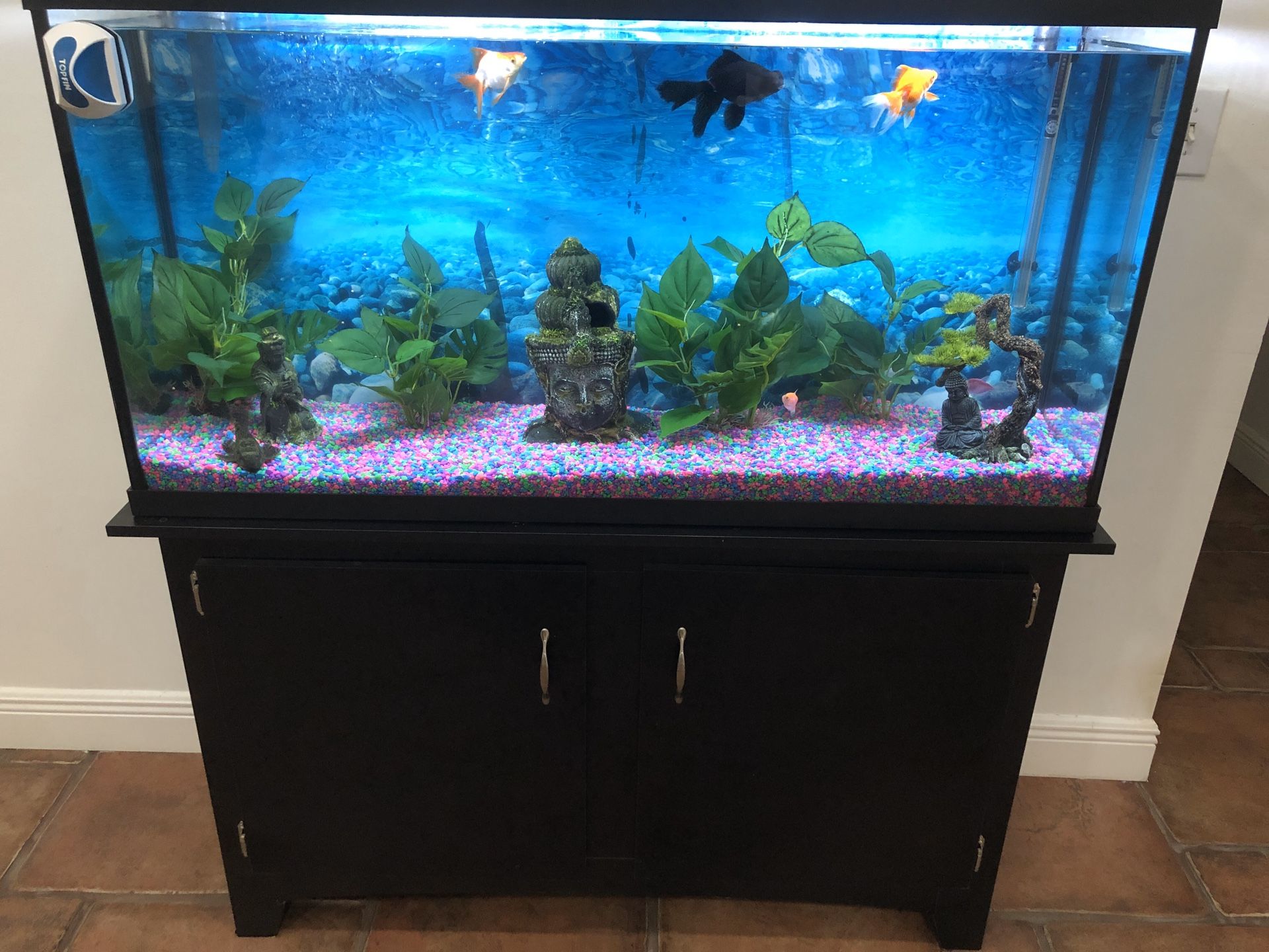Fish tank 60’ gallons with stand and filter
