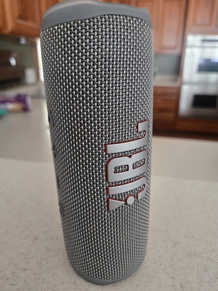 JBL Flip 6 Authentic