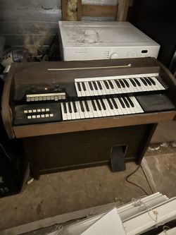 Organ