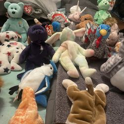 Beanie Babies Many Different Kinds