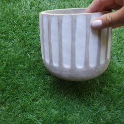 Plant Pot