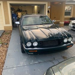 Jaguar Vander Plas For Sale 