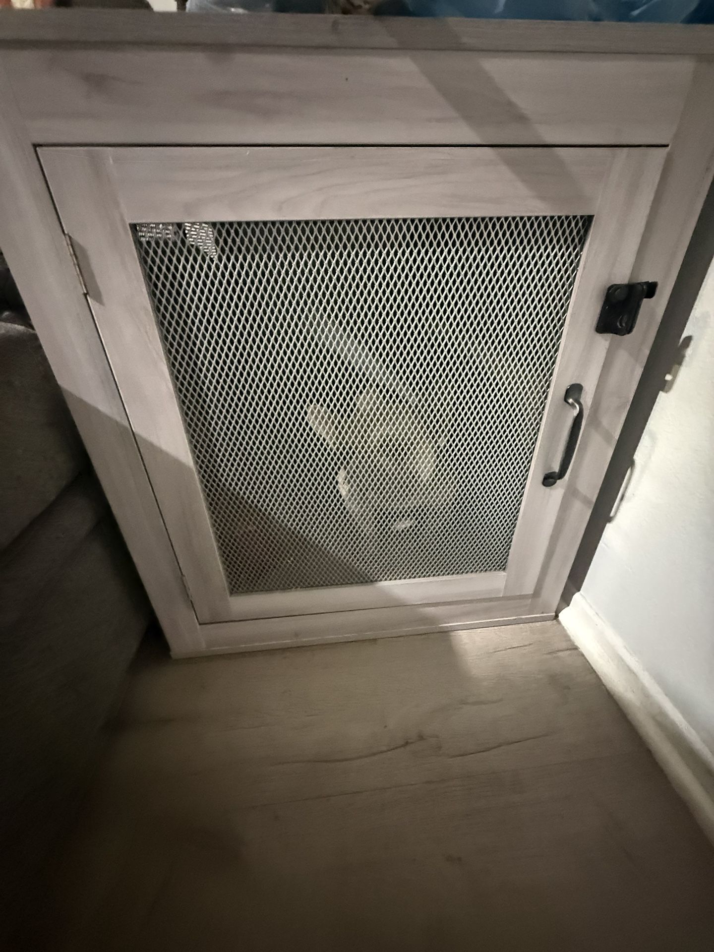 Dog House
