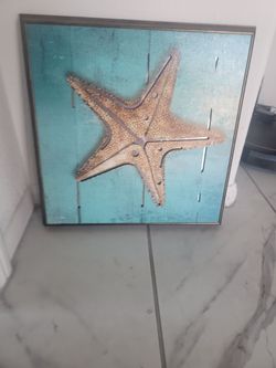 Art Frame of Sea Star