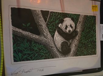 Hand Drawn Panda in a Tree