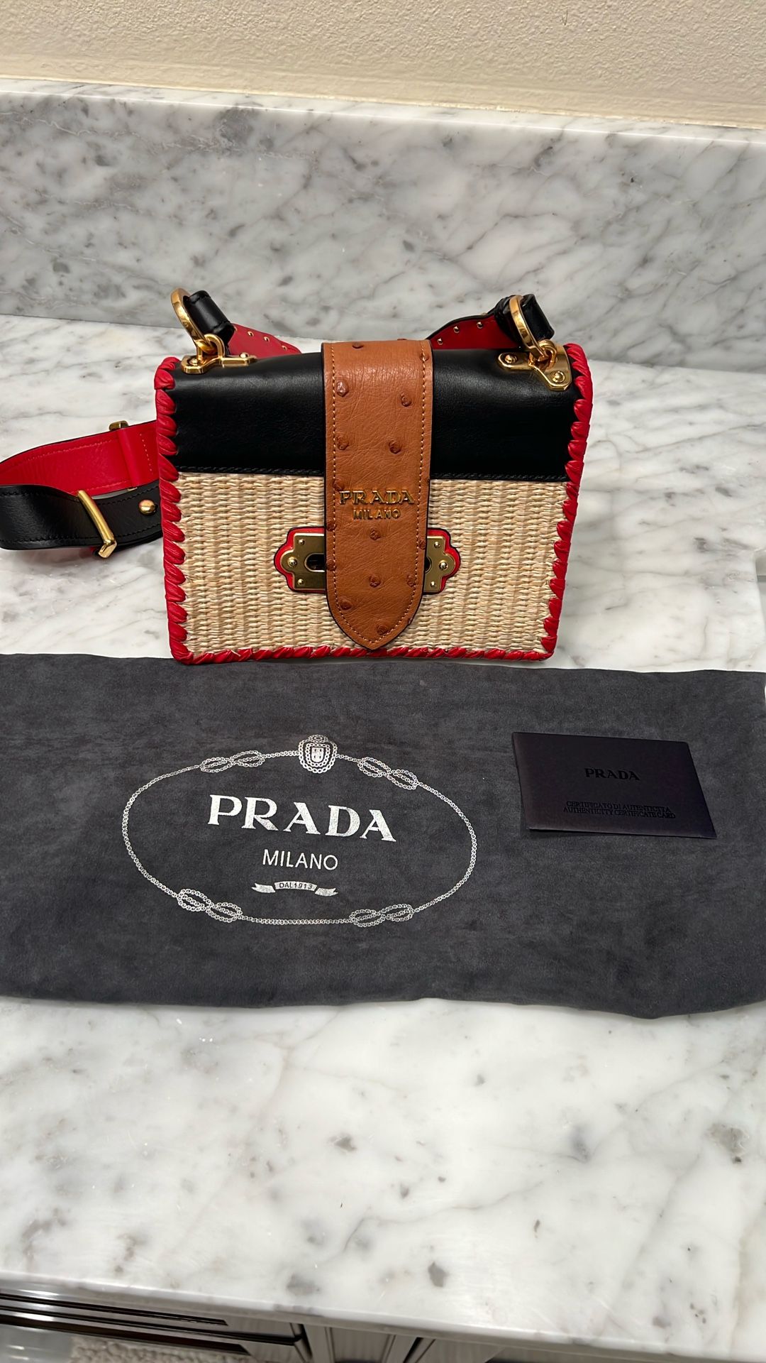 Prada Raffia Leather Bag